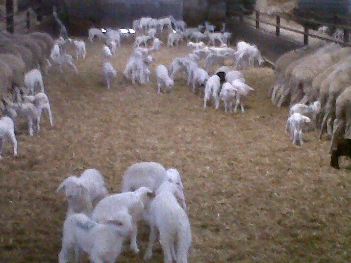 img00508 20121216 1109