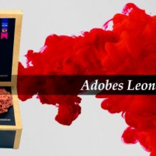 Adobes Leoneses