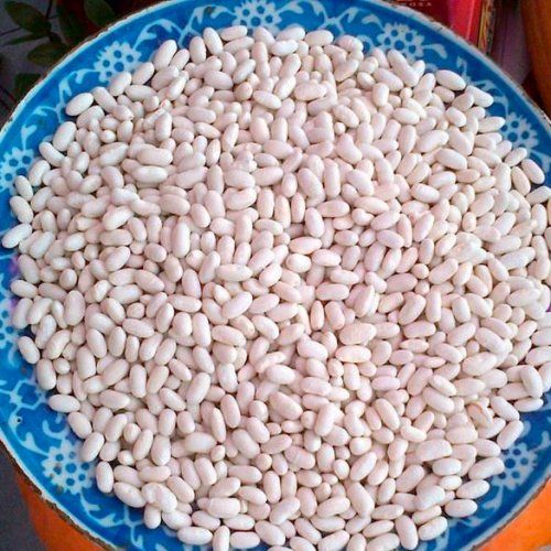 La aut&eacute;ntica legumbre de las vegas de la comarca Ba&ntilde;ezana, &uacute;nicas por su fina piel y su exquisito sabor.
Garantizadas y certificadas por el Consejo Regulador de la I.G.P. Alubia de La Ba&ntilde;eza Le&oacute;n, las tres variedades: pinta, canela y ri&ntilde;&oacute;n.
Garbanzo de la comarca: Pico Pardal y Castellano.
Lenteja pardina de Tierra de Campos con Indicaci&oacute;n Geogr&aacute;fica Protegida.